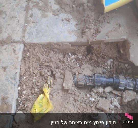 צינור שחור עם מחבר על אדמה חשופה